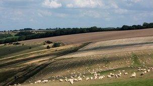 Oxfordshire countryside