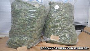 Bags of cannabis. Pic: SCDEA/Northern Constabulary