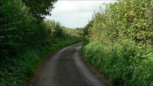 Country lane in Somerset