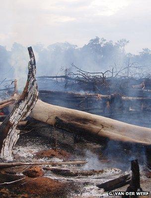 Smouldering remains of a forest fire, Brazil (Image: Guido van der Werf)