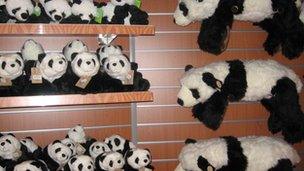 Panda soft toys at Edinburgh Zoo gift shop