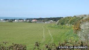 A field in Guernsey