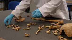 Archaeologist testing fragments of bone