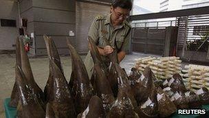 Lam Tak-fai, acting head of Ports and Maritime Command, arranges rhino horns, part of a 33 rhino horns, ivory chopsticks and bracelets shipment seized by the Hong Kong Customs and Excise Department