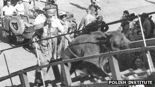 Wojtek being taken up a ship's gang plank. Photo courtesy of The Polish Institute and Sikorski Museum