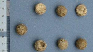 The seven Civil War bullets found in Newbury