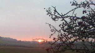 Field Farm site at sunrise (second field in the distance)