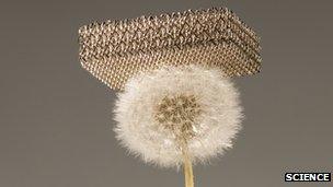 The metallic micro-lattice on a dandelion head