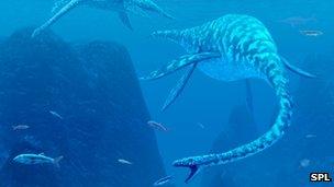 Plesiosaur