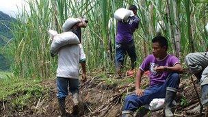 Awa men in their sugar cane plantation