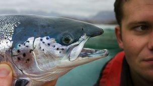 Man holding Scottish salmon