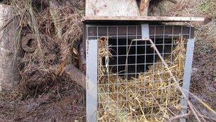 Beaver enclosure