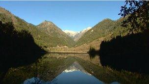 Panda habitat in Sichuan province