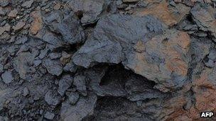 A rock containing bitumen