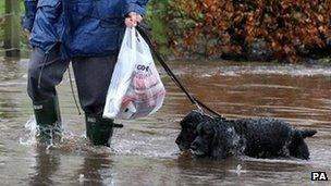 Man walking his dogs through flooding near Bridge of Allan