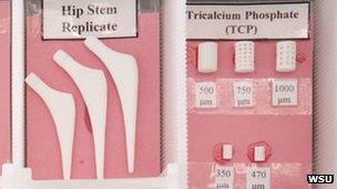 Bone-like scaffolds made by 3D printer