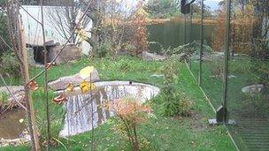 Panda enclosure at Edinburgh Zoo