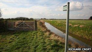 Lincolnshire grazing marshes