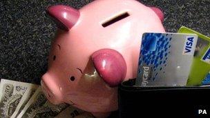 Piggy bank and money and credit cards