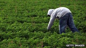 A young man works in a field