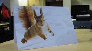 Danny Alexander's Christmas card with red squirrel