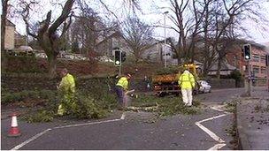 Work men clearing trees from Strand Road