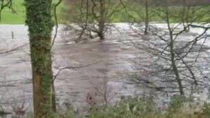 The River Nidd at Summerbridge in Nidderdale