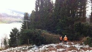 Two tree cutters clear damaged power lines near Pitlochry