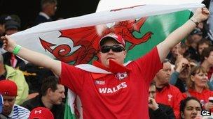 Wales rugby fan at the 2011 World Cup