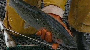 man holding salmon