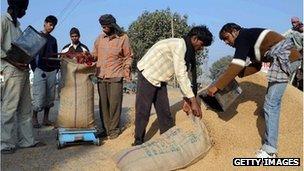 india,grain,food