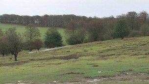 Areas of Outstanding Natural Beauty (AONB) in the Quantocks, Somerset