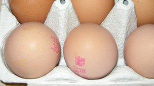 eggs