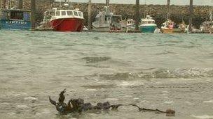 Fishing boats in Jersey