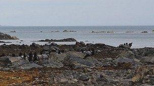 Guernsey's sewage outfall pipe