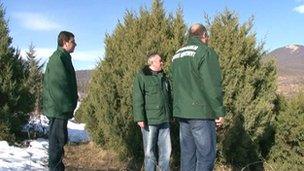 Rangers on patrol in Georgian pine tree forest