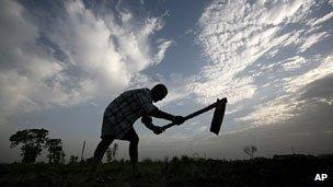 India farmer