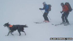 Chester and skiers. Pic: Alan Dennis/SAIS