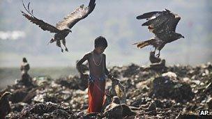 Indian child in a garbage dump