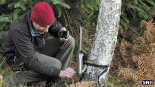 Camera trap being set. Pic: SNH