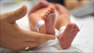 newborn baby with parent's hand