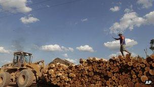 A front-end loader moves legal timber harvested from a managed forestry area for use in the Concrem Group's wood factory in Paragominas, northern state of Para, Brazil. September 2011