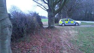 A police car at the scene