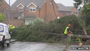 Workmen removing tree in Totton. Taken by Eric Austin