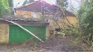 Tree collapsed on house