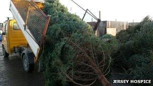 Jersey Hospice Christmas tree collection