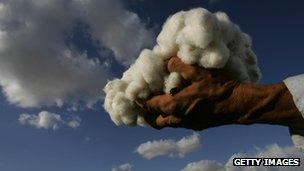 Hand holding raw cotton