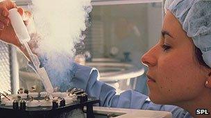 Frozen embryos being removed from storage