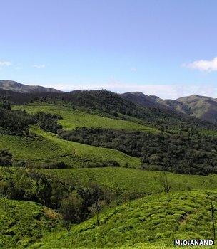 Fragmented forest landscape (Image: M O Anand)