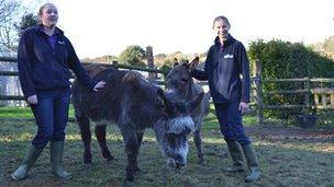 Sheryl Carre and Becky Martin with two donkeys